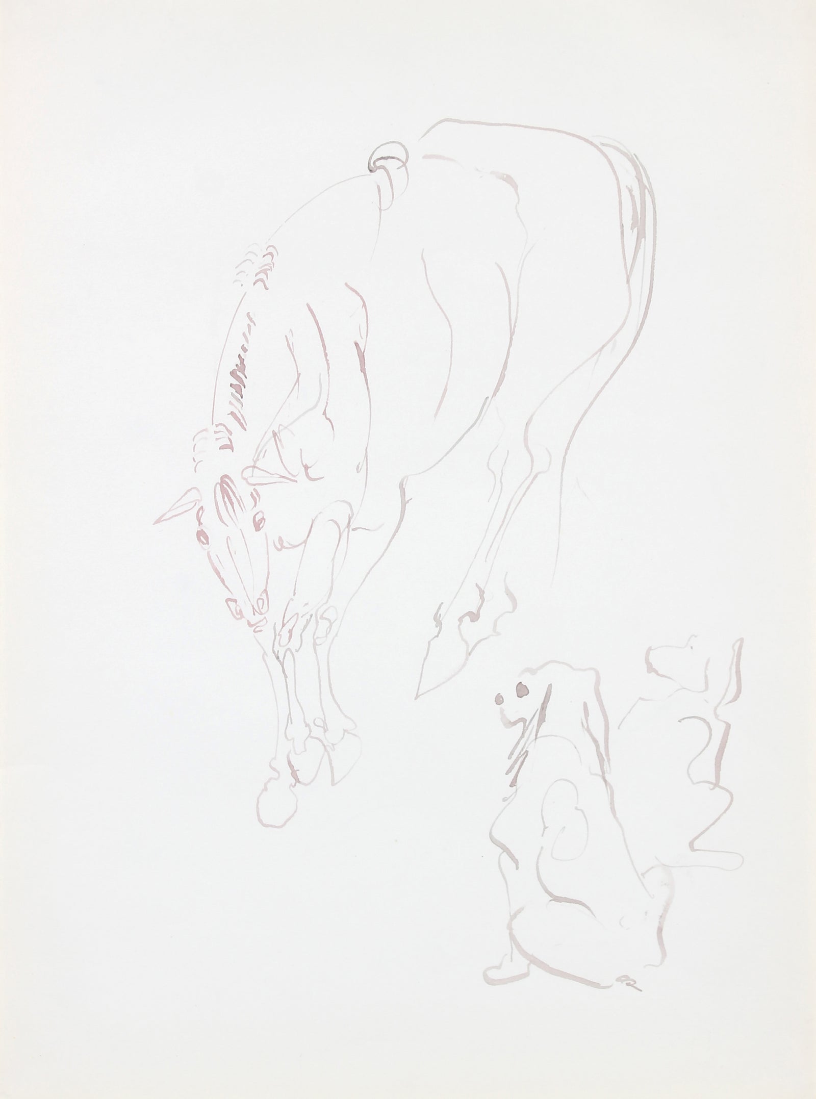 Dog and Horse Study <br>Mid 20th Century Ink <br><br>#A5994