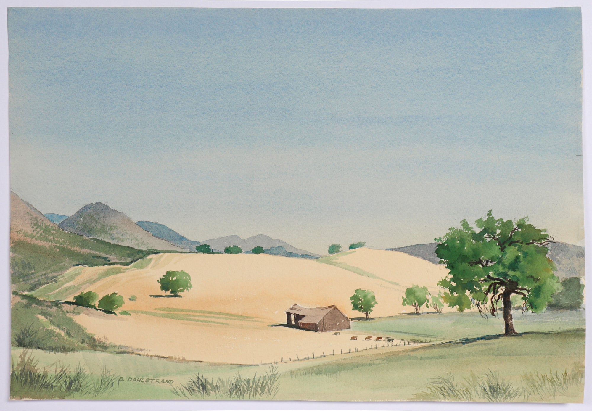 <I>Diablo Range Foothills</I> <br>1972 Watercolor<br><br>#C5155