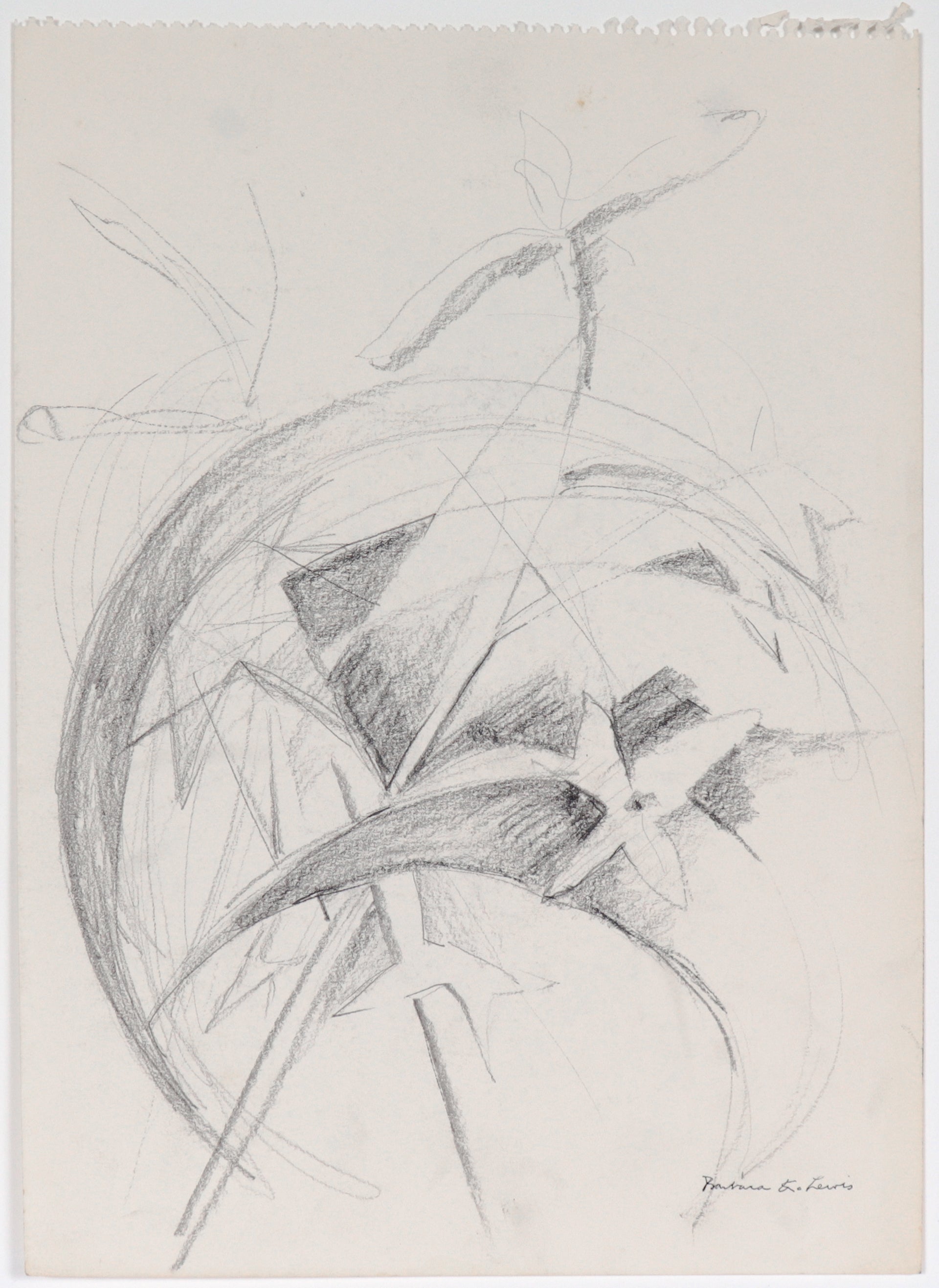 Abstracted Floral Study<br>20th Century Graphite<br><br>#C4448
