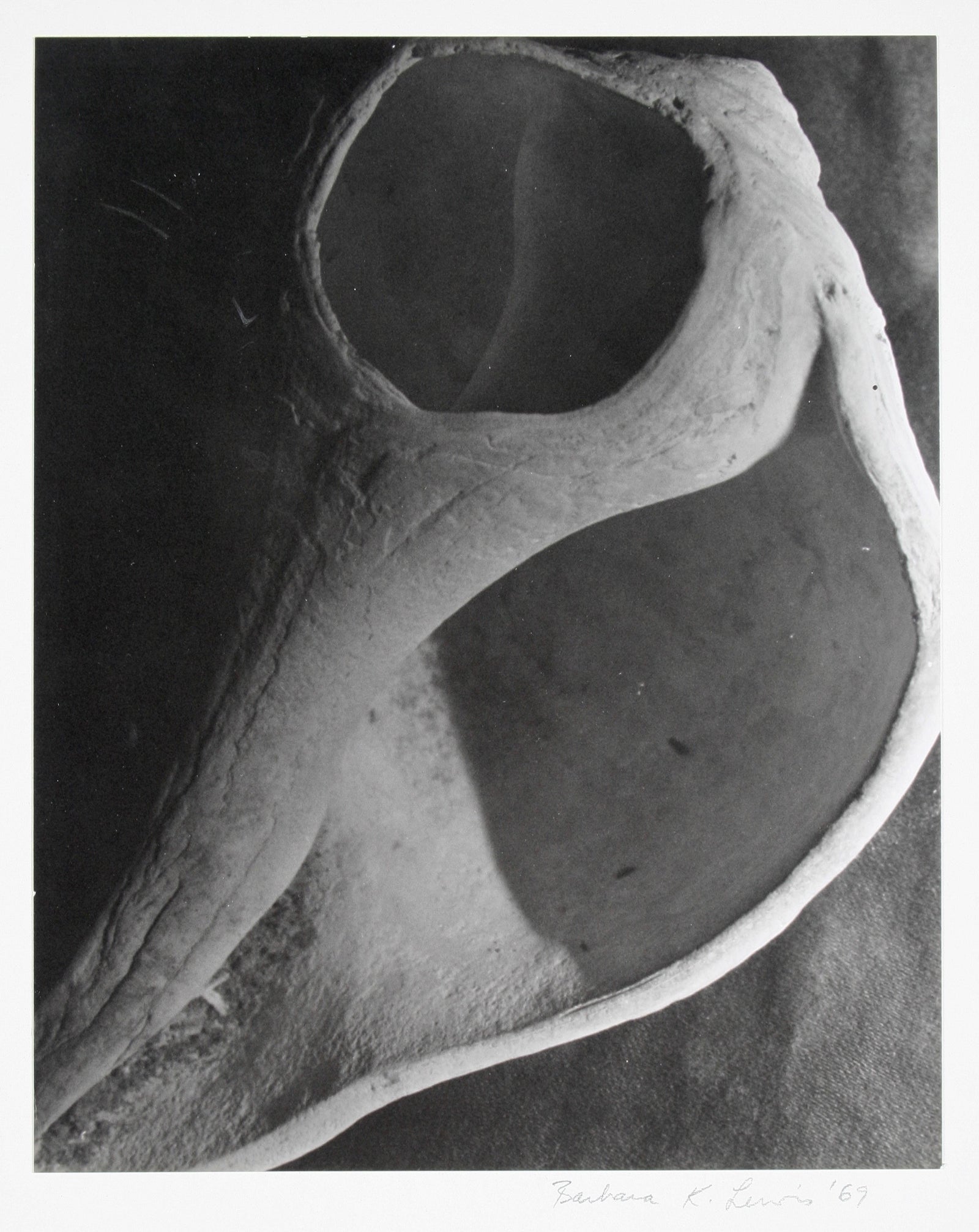 Barbara Lewis Photography - Lost Art Salon