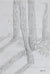 Trees in Afternoon Light <br>2004 Graphite <br><br>#A1798