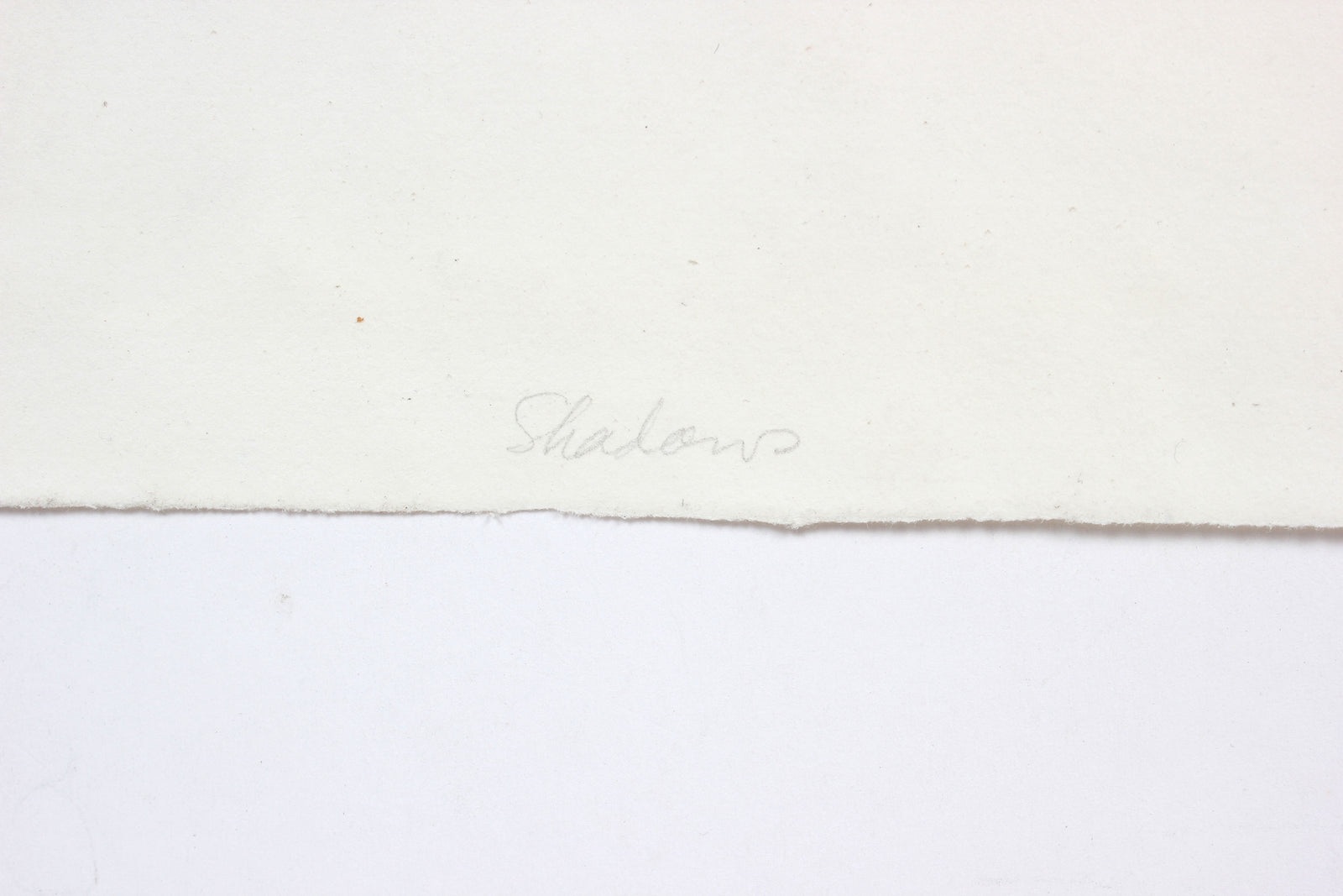 <i>Shadows</i><br>1969 Stone Lithograph<br><br>#A5963