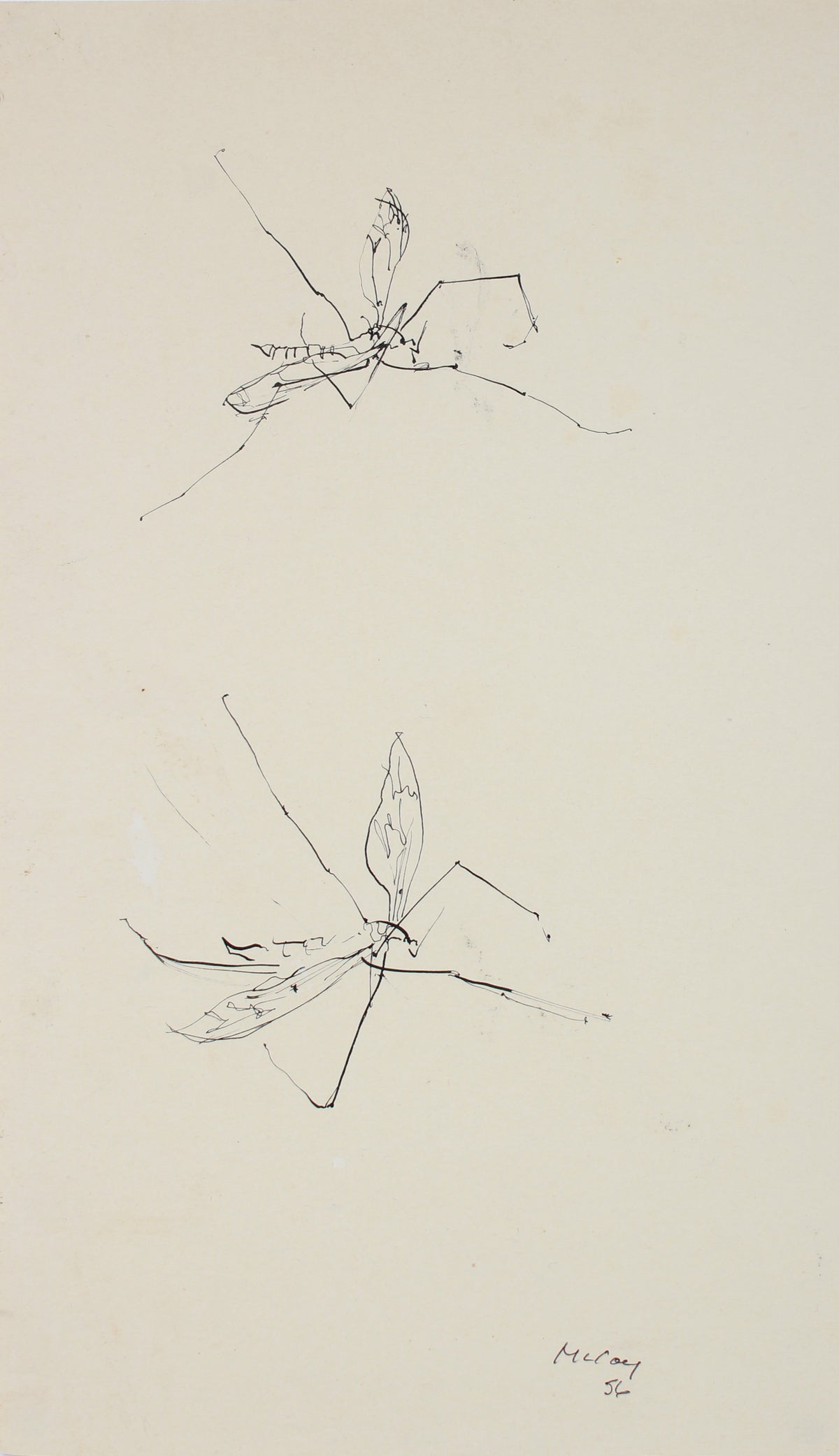 Loose Insect Sketch &lt;br&gt;1956 Ink &lt;br&gt;&lt;br&gt;#A7199