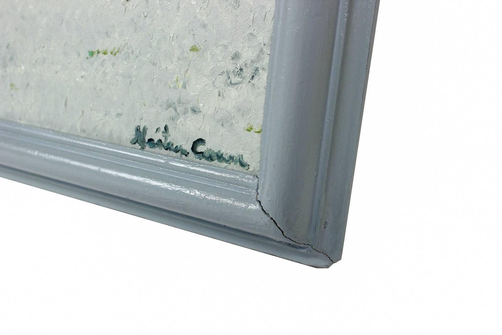 <i>California Buckeye</i> <br>2020 Oil on Canvas <br><br>#B1371