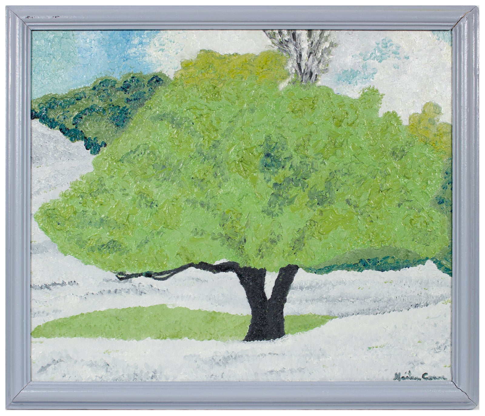 <i>California Buckeye</i> <br>2020 Oil on Canvas <br><br>#B1371