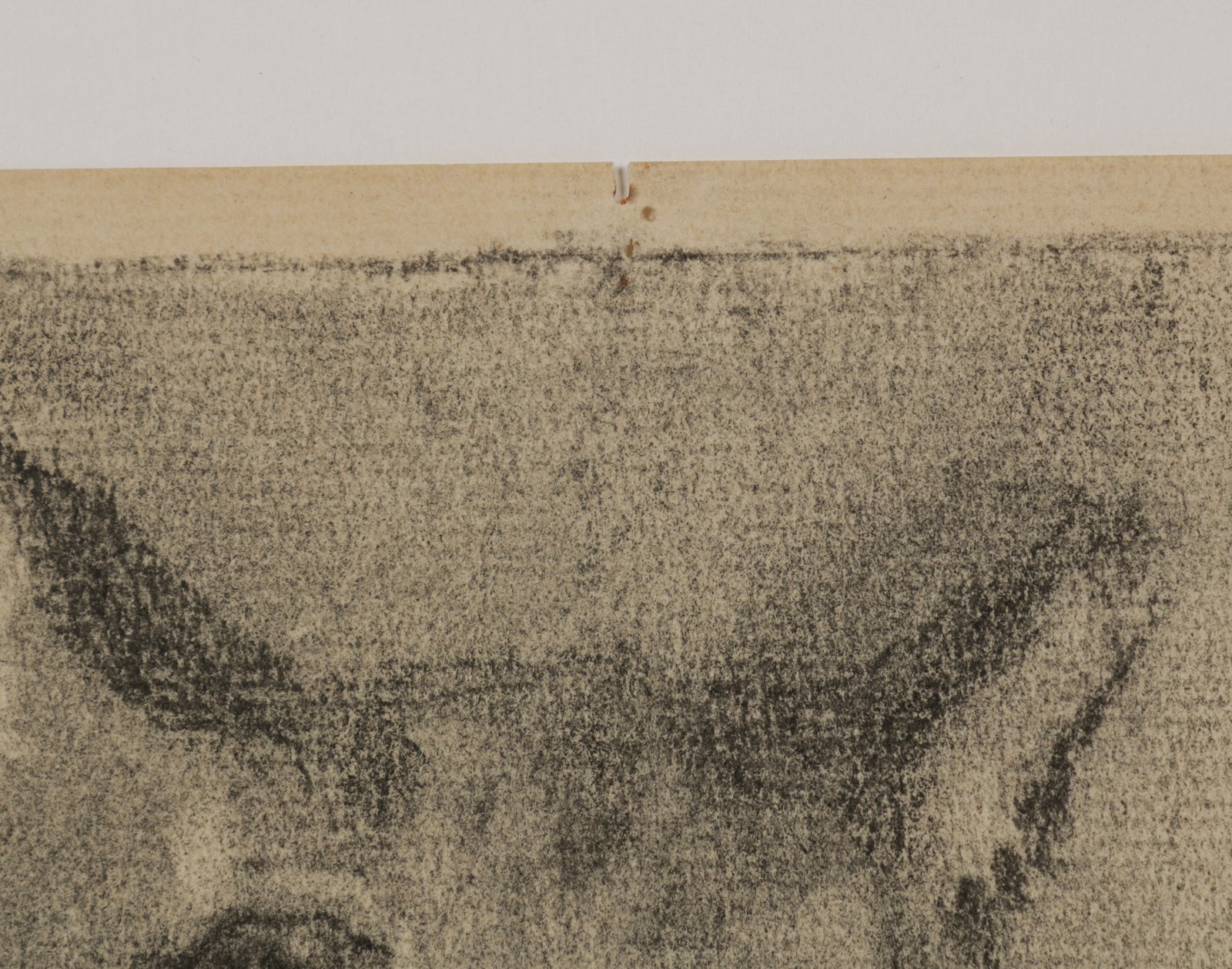 Charcoal Drawing of a Cat <br>1940s Charcoal <br><br>#B5533