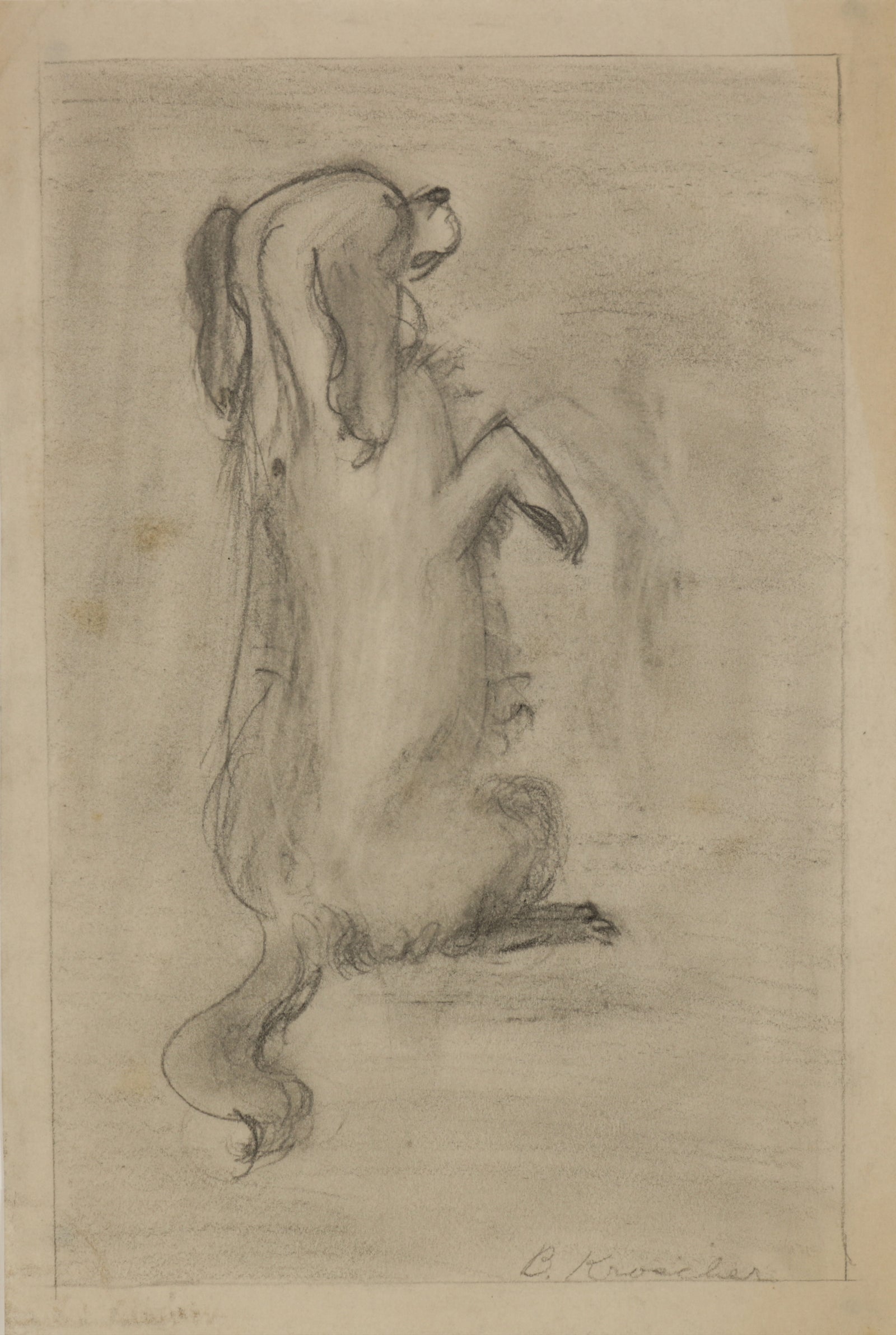 Modernist Drawing of a Dog <br>1940s Graphite <br><br>#B5537