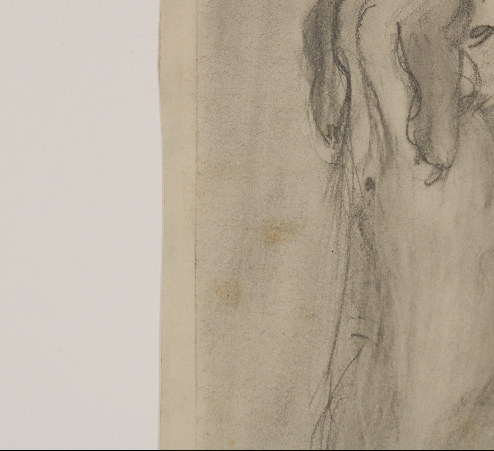 Modernist Drawing of a Dog <br>1940s Graphite <br><br>#B5537