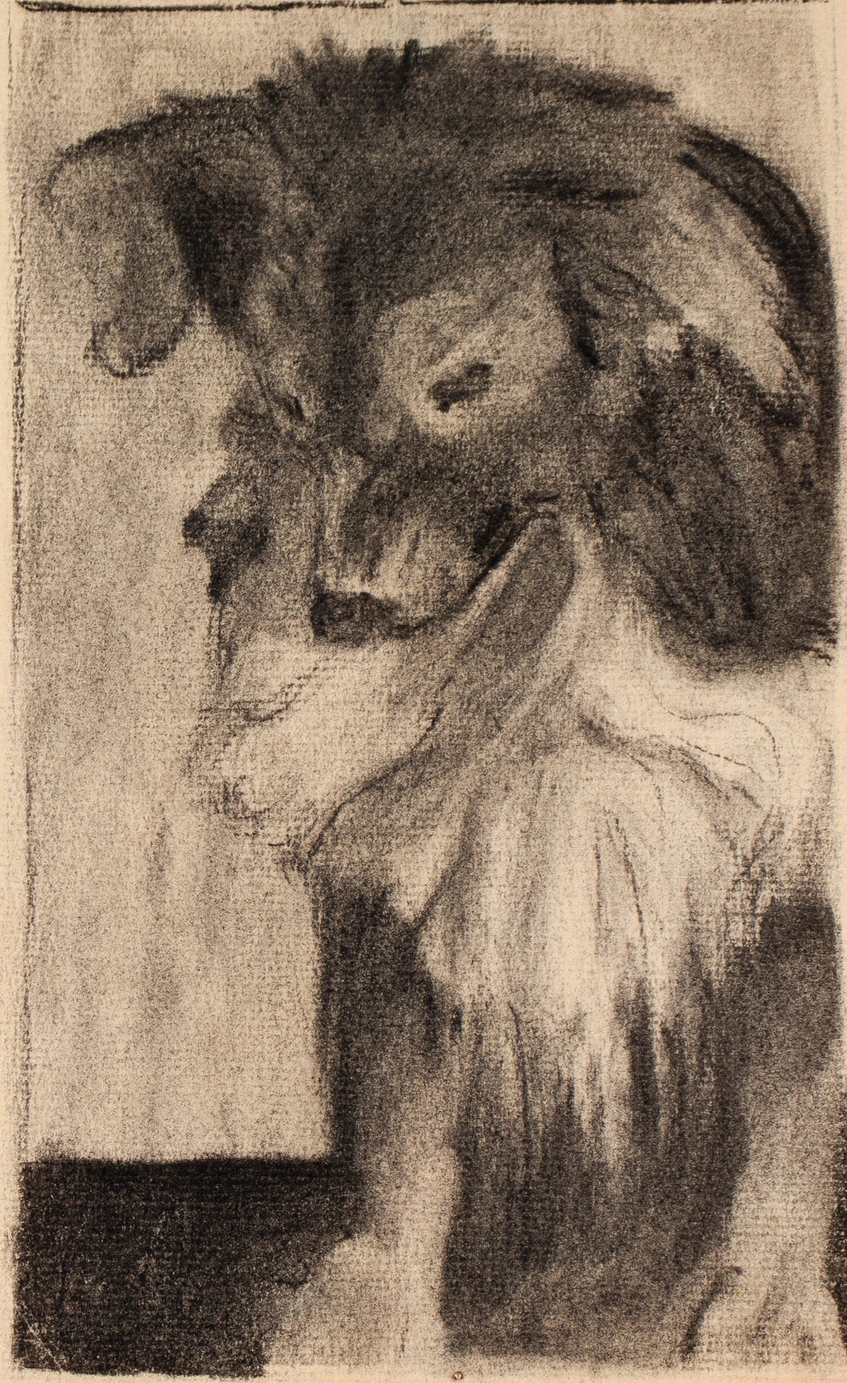 Early 20th Century Charcoal Drawing of a Dog &lt;br&gt;&lt;br&gt;#C0052