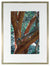 <I>Manzanita Tree Shedding Bark in Summer</I><br>Mendocino, California, 2011<br><br>GC0125