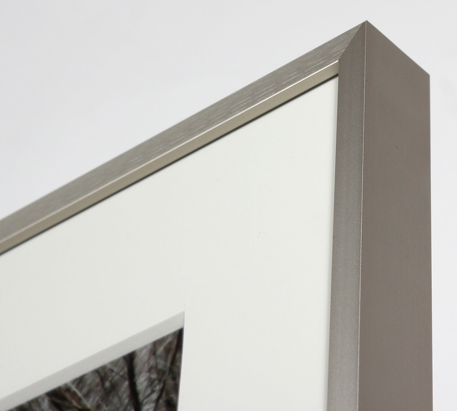 <I>Wild Pony Mane</I> <br>2010 <br><br>#GC0249_2O