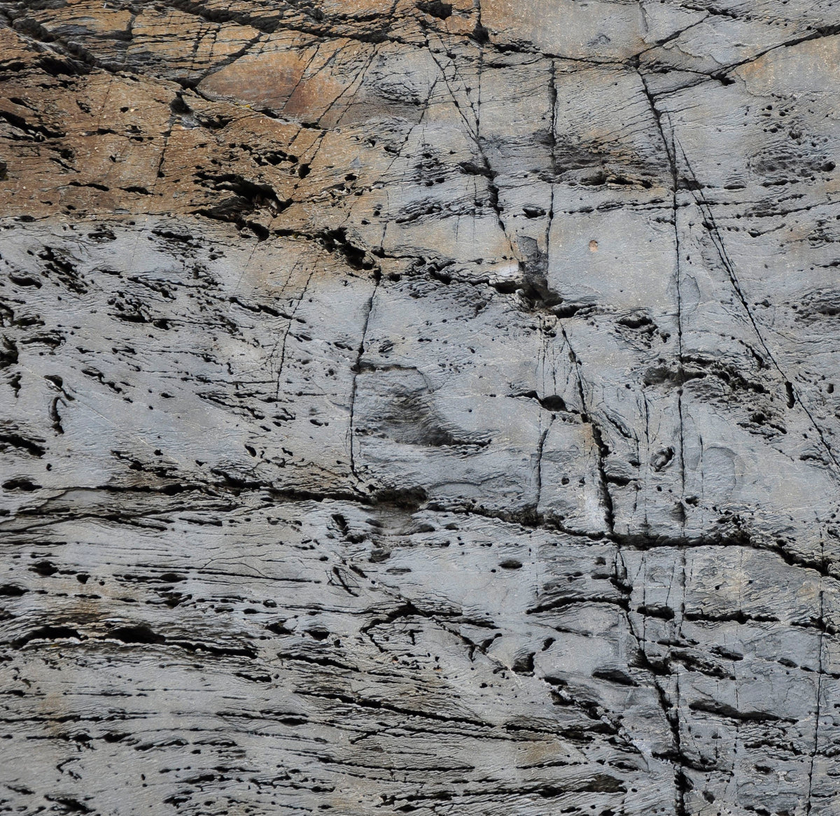 &lt;I&gt;Texture 3: Granite&lt;/I&gt;&lt;br&gt;Coastal Maine, 2013&lt;br&gt;&lt;br&gt;GC0356