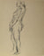 Loose Sketch of Standing Figure <br>Early 20th Century Ink <br><br>#13118