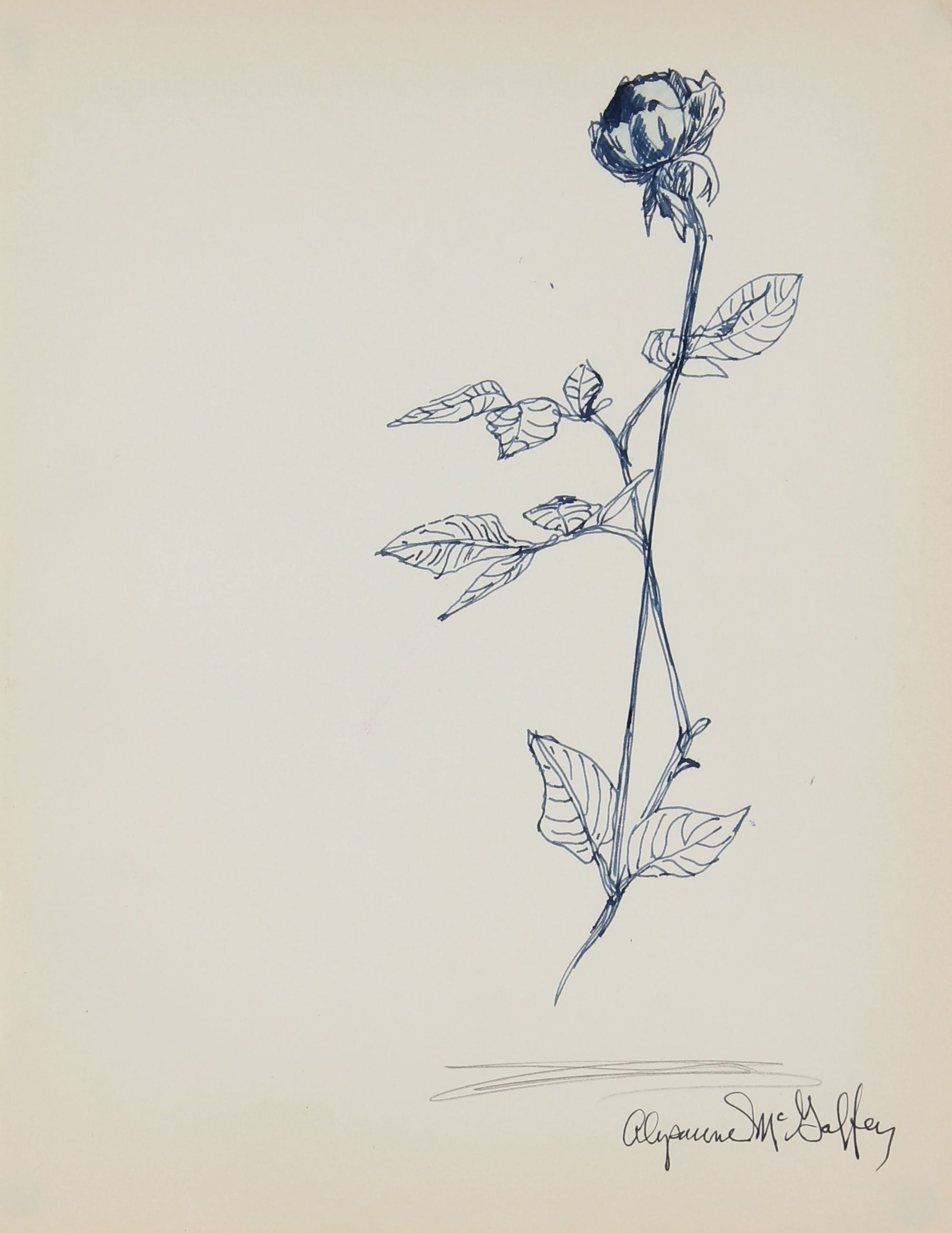 Rosebud Drawing <br>1950-60s Ink <br><br>#22967