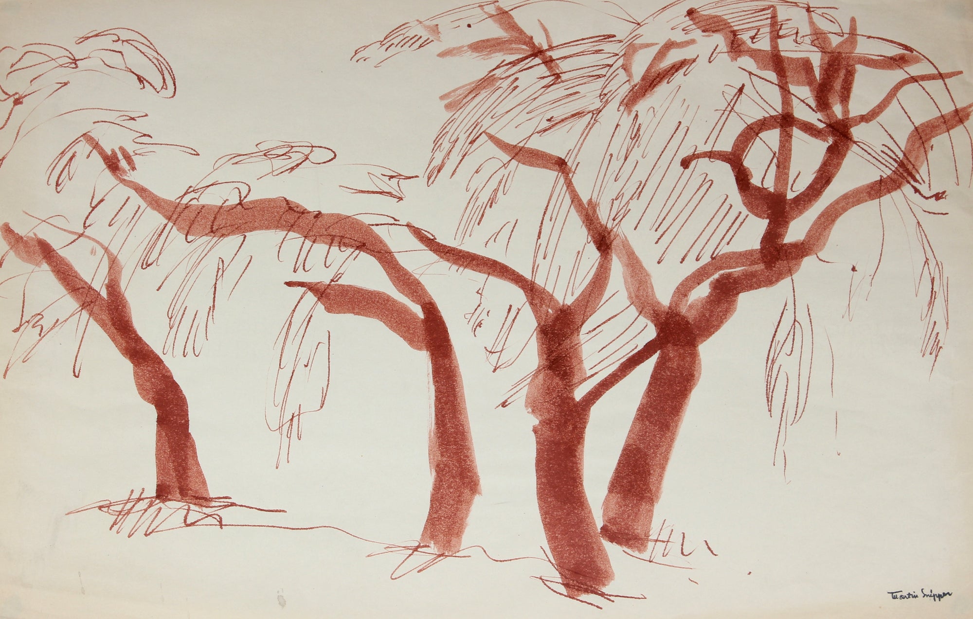Sketch of Trees <br>Mid 20th Century Ink <br><br>#49831