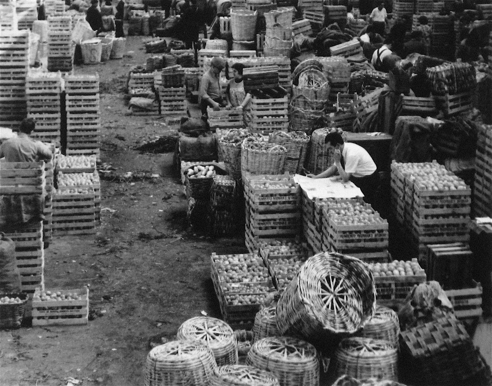 Scene From Lisbon Covered Market <br>1960s Photograph <br><br>#12096