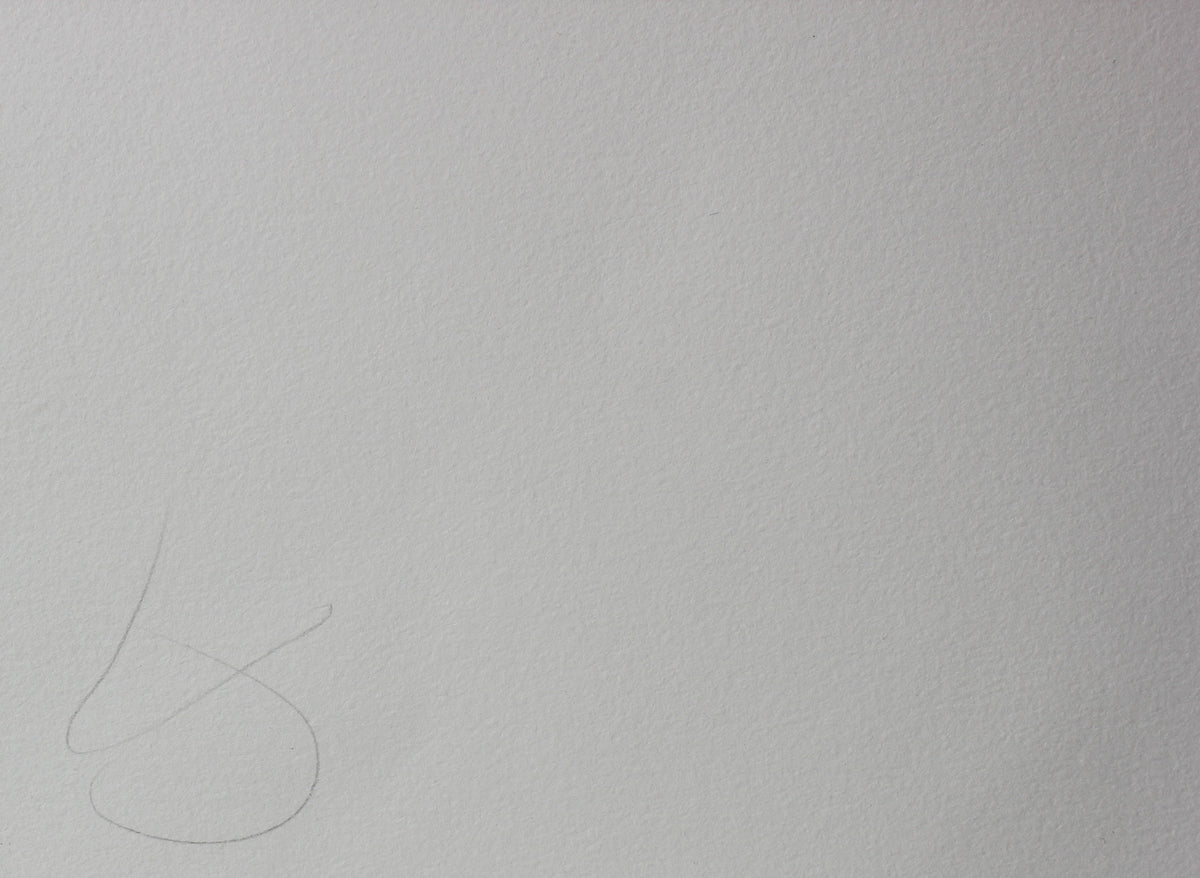 Spinning Top <br>Late 20th-Early 21st Century Etching <br><br>#99635