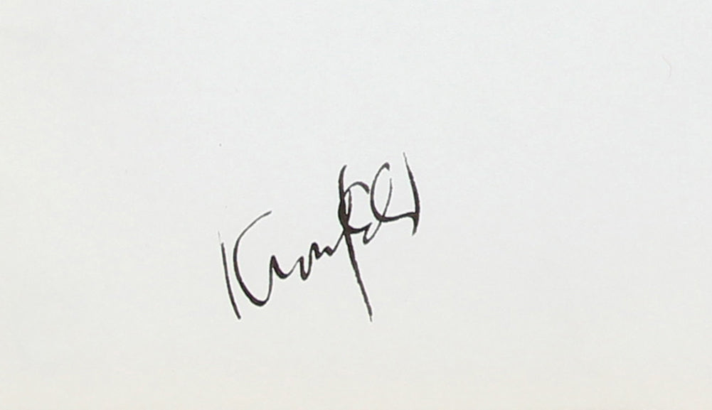 Bird in Flight <br>1960s-70s Ink <br><br>#A5991