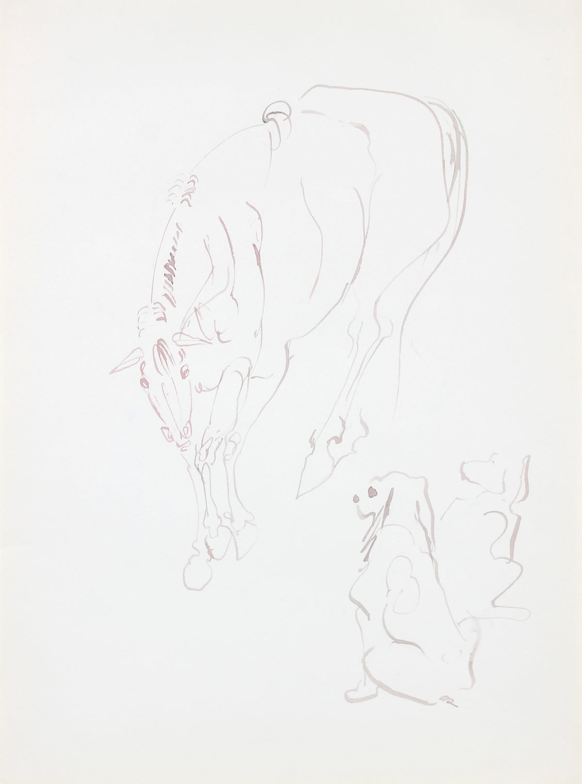 Dog and Horse Study <br>Mid 20th Century Ink <br><br>#A5994