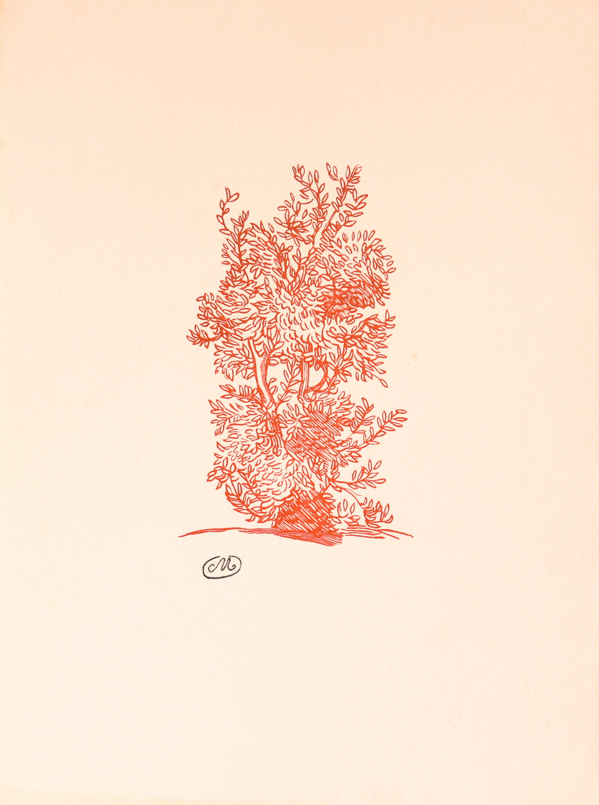 Study for <i>Laurier</i><br>1937-1943 Woodcut<br><br>#C3500