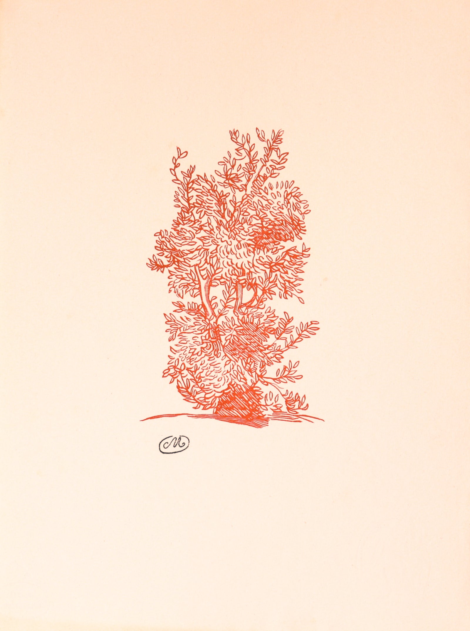 Study for <i>Laurier</i><br>1937-1943 Woodcut<br><br>#C3500