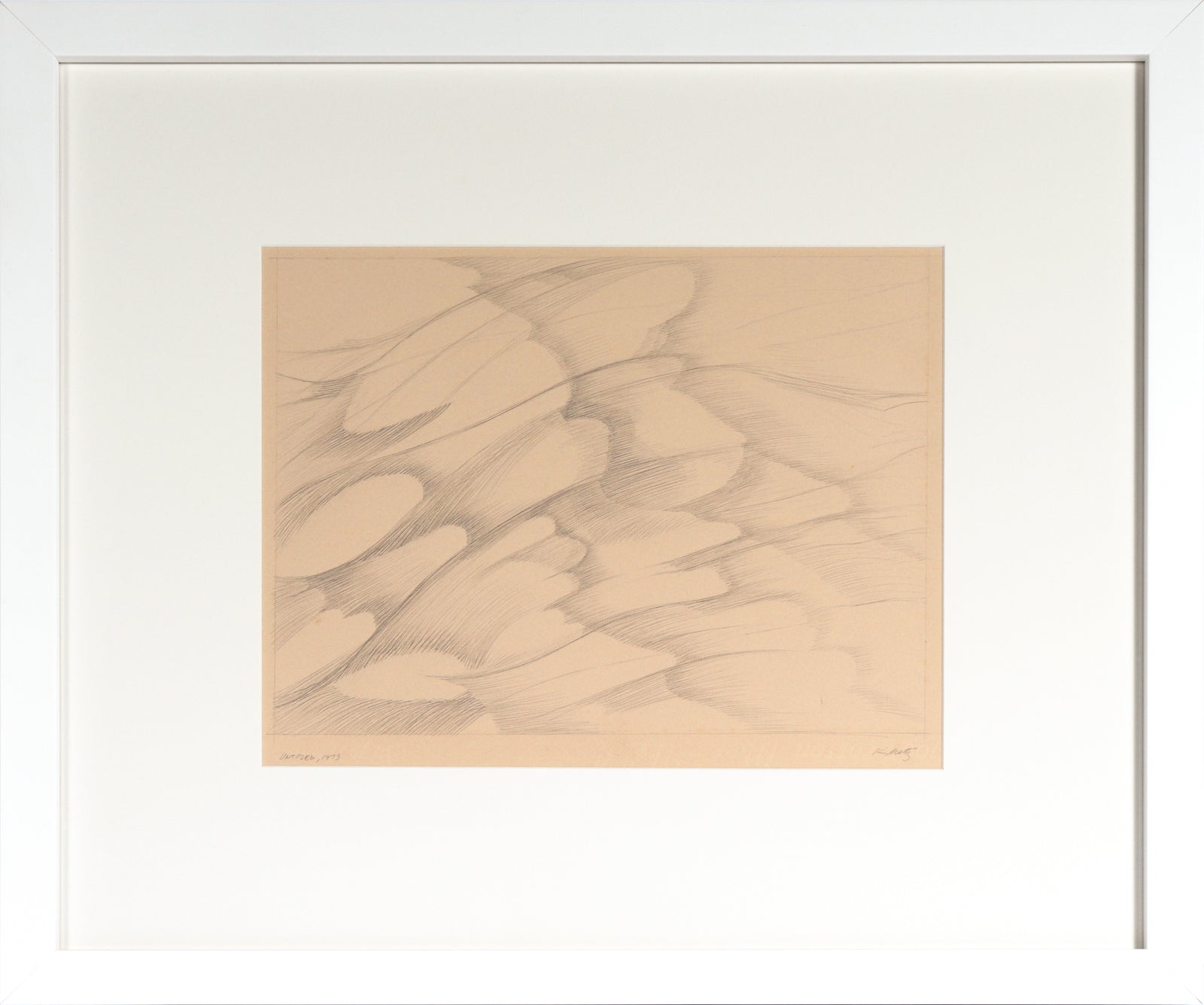 Monochrome Organic Forms <br>1973 Graphite <br><br>#C3583