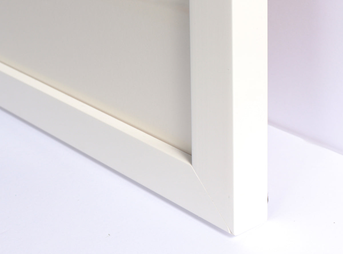 Monochrome Organic Forms <br>1973 Graphite <br><br>#C3583