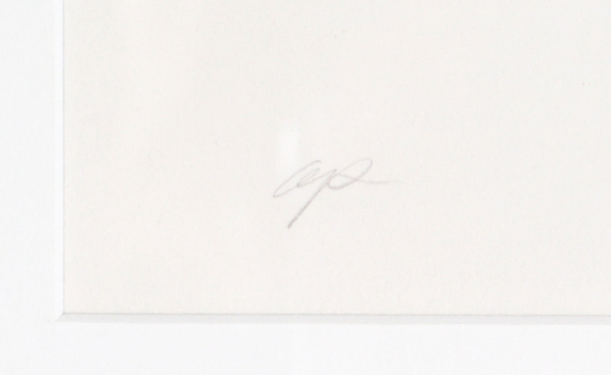 Wavey Monochrome Abstract <br>20th Century Lithograph <br><br>#C3595