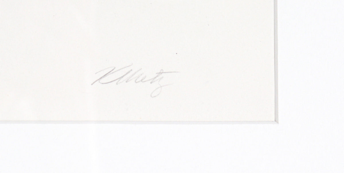 Wavey Monochrome Abstract <br>20th Century Lithograph <br><br>#C3595