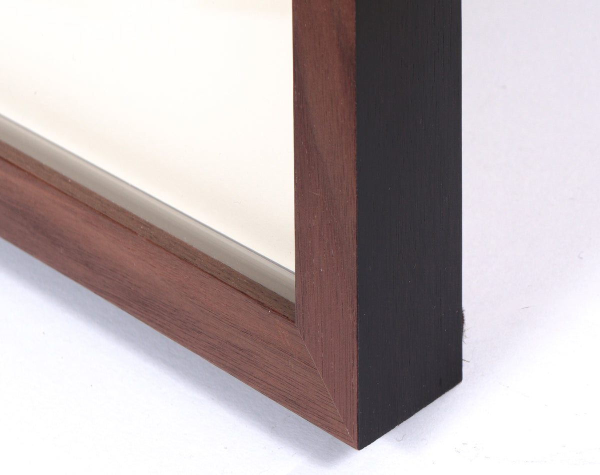 <i>Sander & Delamater</i> <br>2023 Monotype <br><br>#C3690