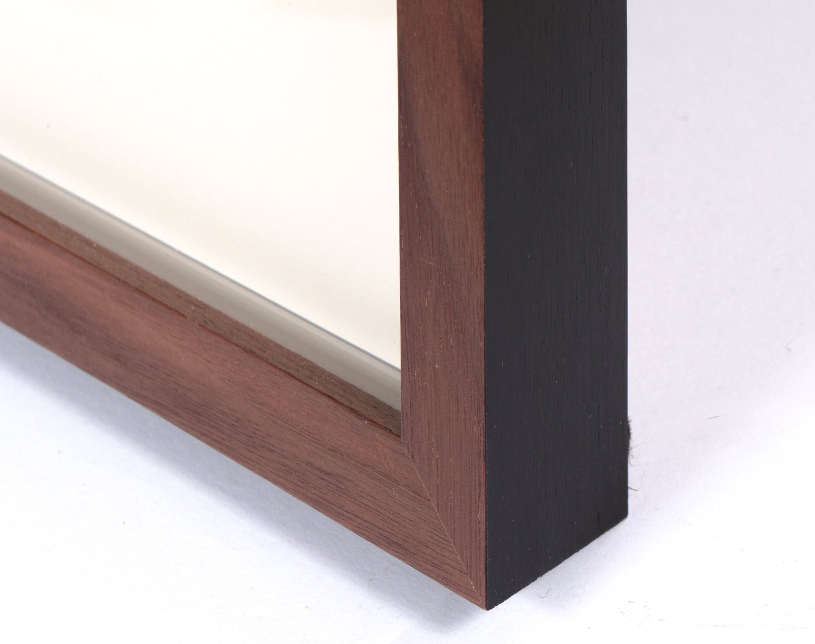 <i>Sander & Delamater</i> <br>2023 Monotype <br><br>#C3690