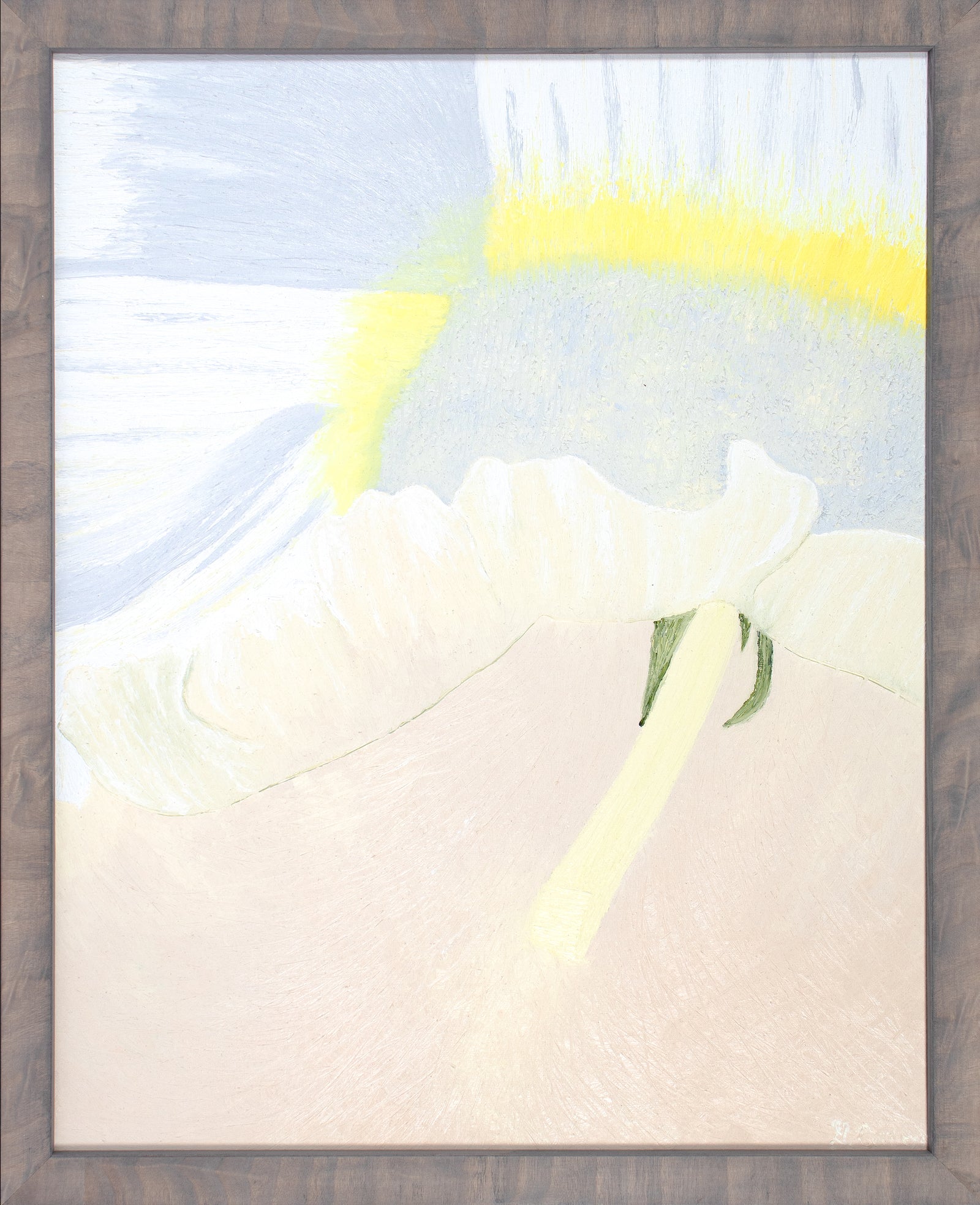 <i>Mount Hood (Daffodil, Mendocino, CA)</i> <br>2023 Oil <br><br>#C3757