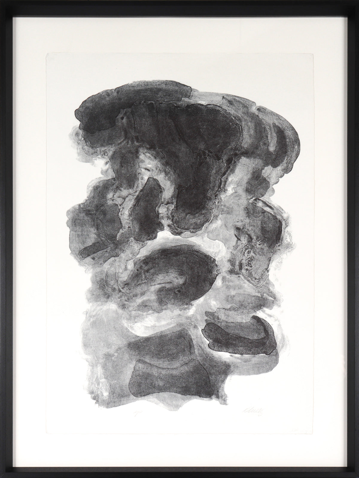 Organic &amp; Monochromatic Abstract &lt;br&gt;1989 Lithograph&lt;br&gt;&lt;br&gt;#C3789
