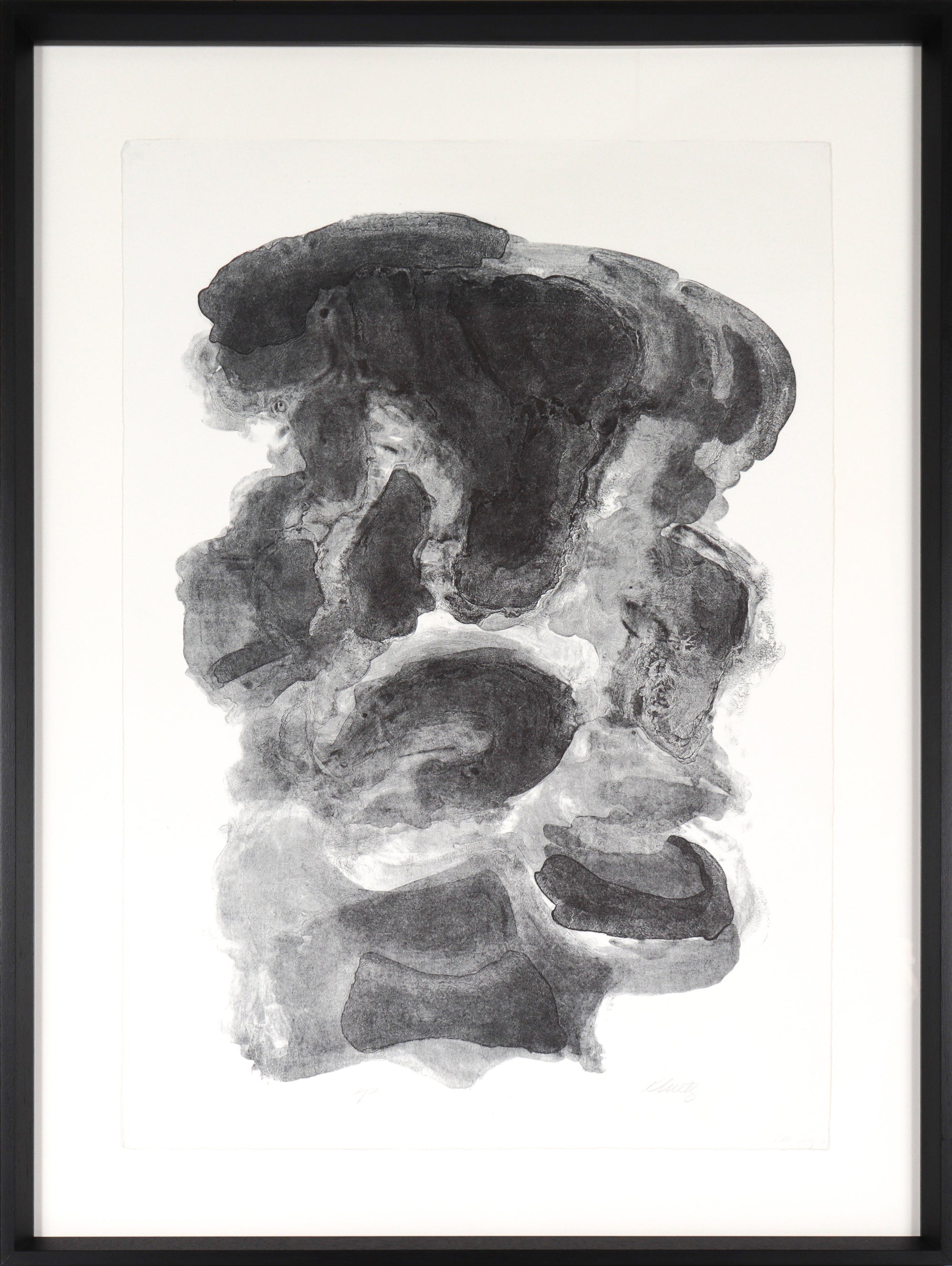 Organic & Monochromatic Abstract <br>1989 Lithograph<br><br>#C3789