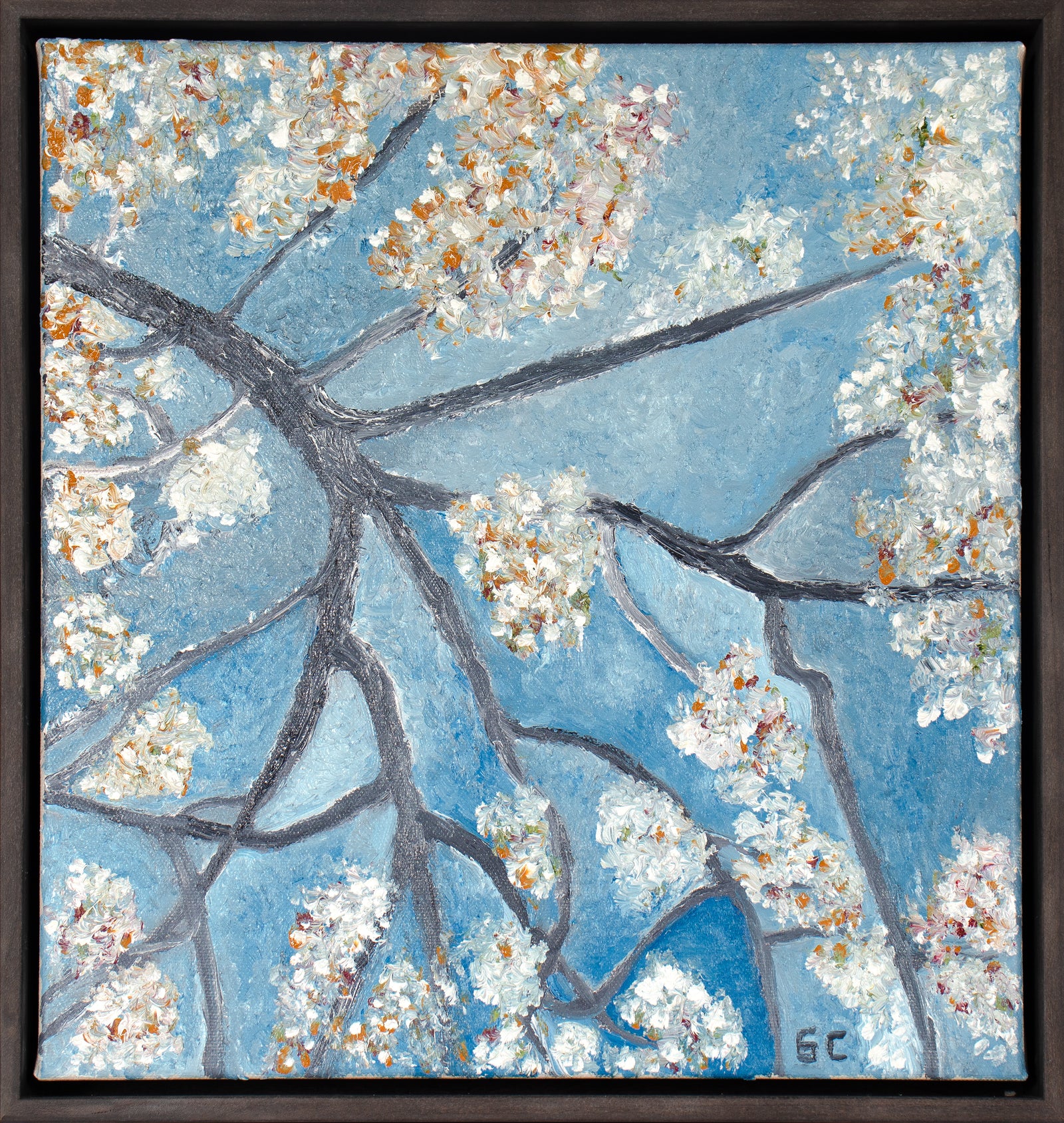 <I>Asian Pear Blossom (Mendocino, CA)</I> <br>2023 Oil<br><br>#C3840