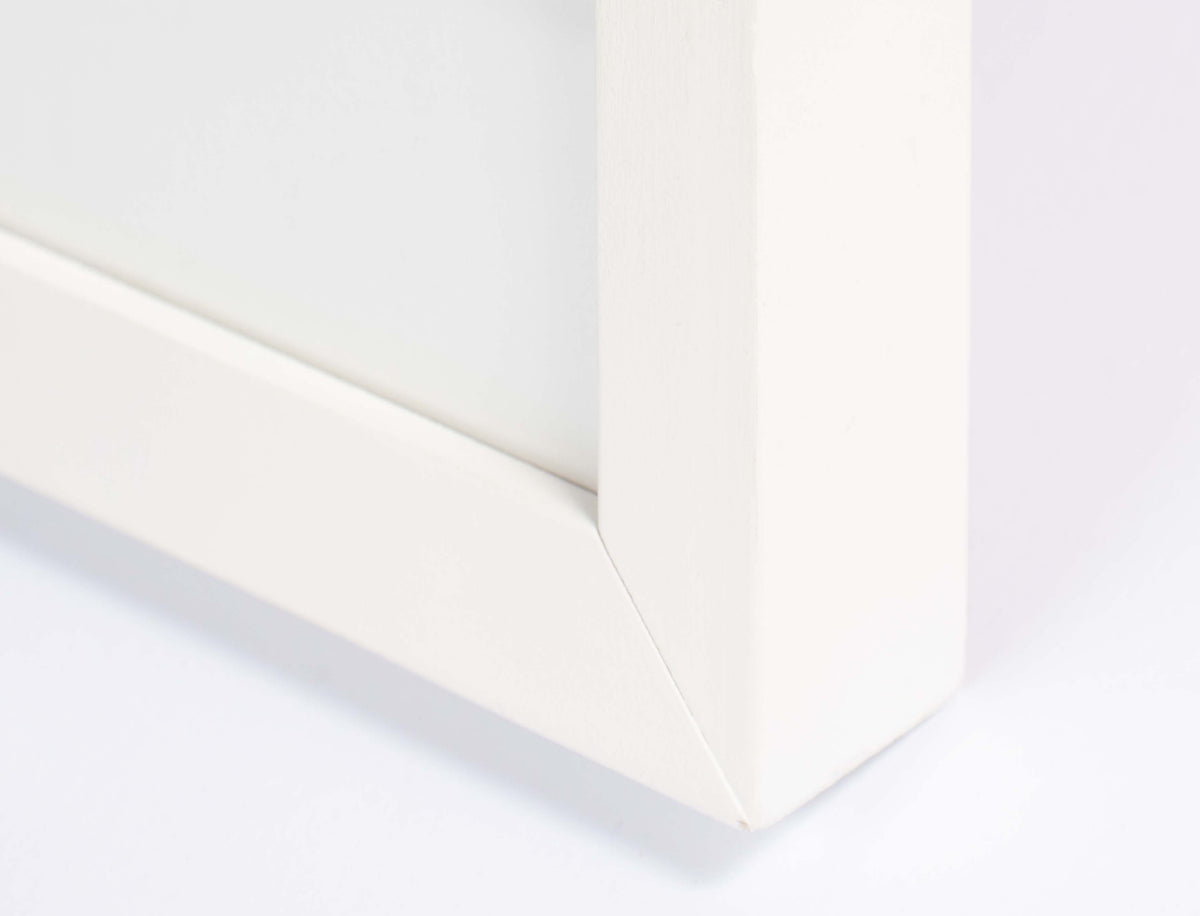 Film Strip Still-Life<br>20th Century Black & White Photograph<br><br>#48087