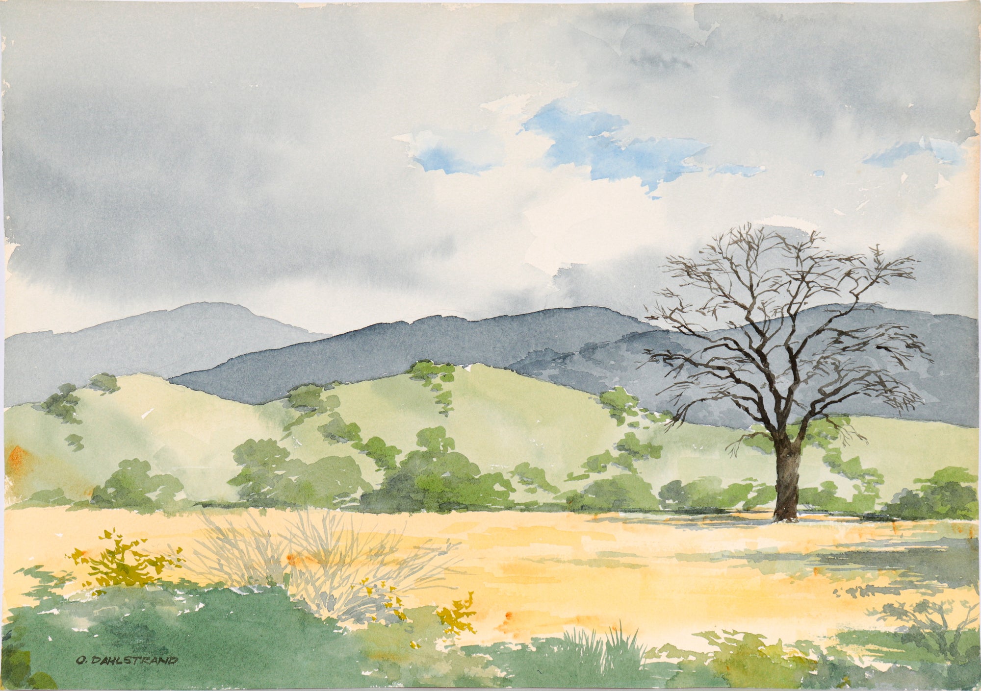 <I>Santa Clara Valley</I> <br>1967 Watercolor<br><br>#C4905