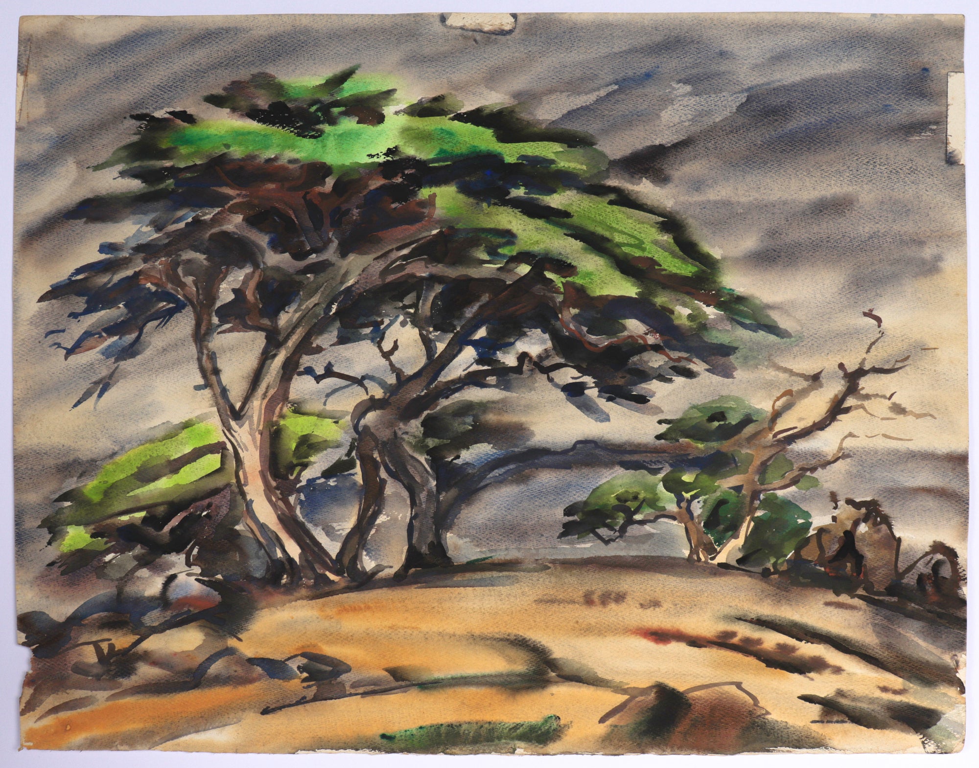 Landscape with Cypress Tree<br>1960s Watercolor<br><br>#C5163