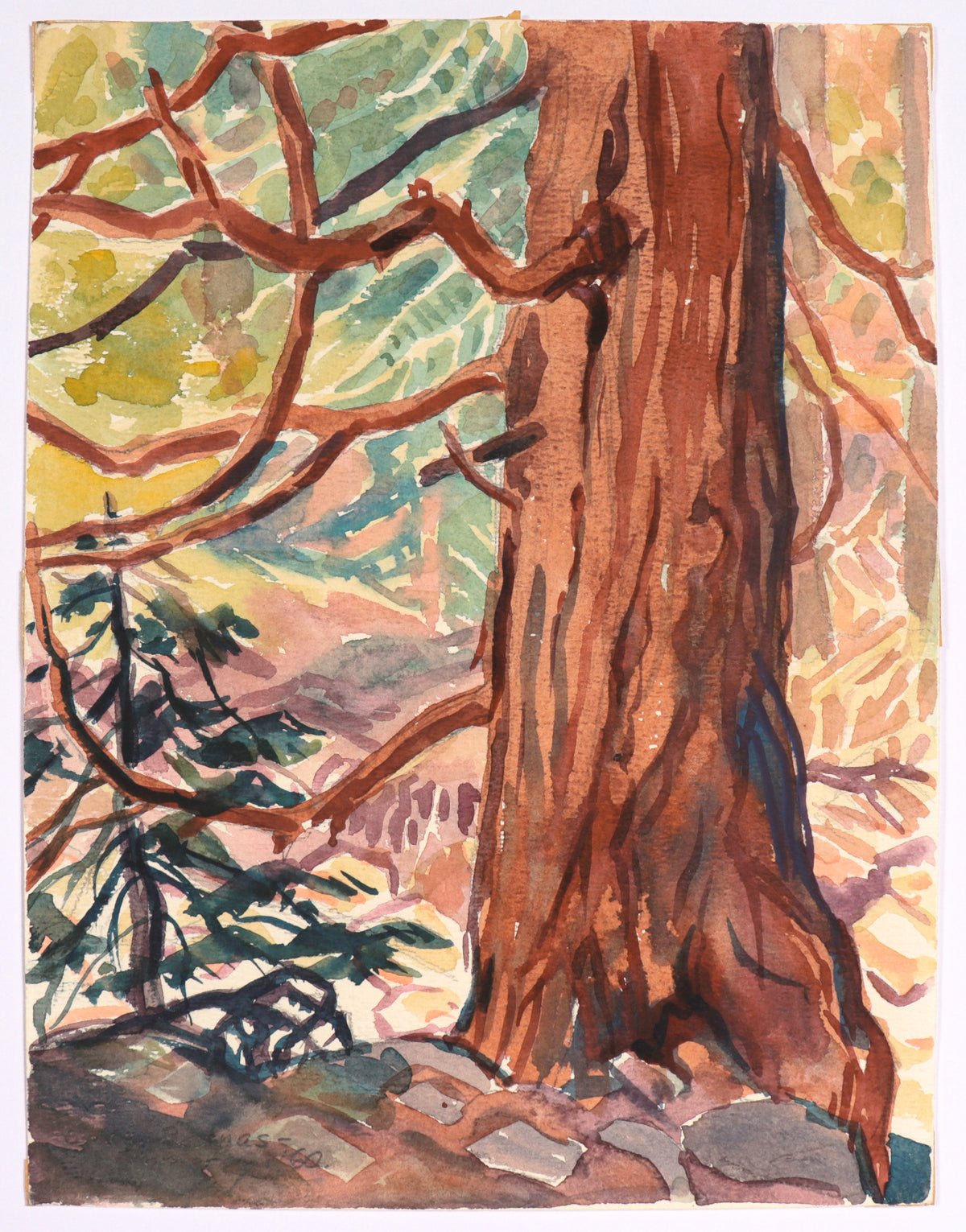 &lt;I&gt;Cedar Trunk&lt;/I&gt; &lt;br&gt;1960 Watercolor&lt;br&gt;&lt;br&gt;#C5175