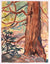 <I>Cedar Trunk</I> <br>1960 Watercolor<br><br>#C5175