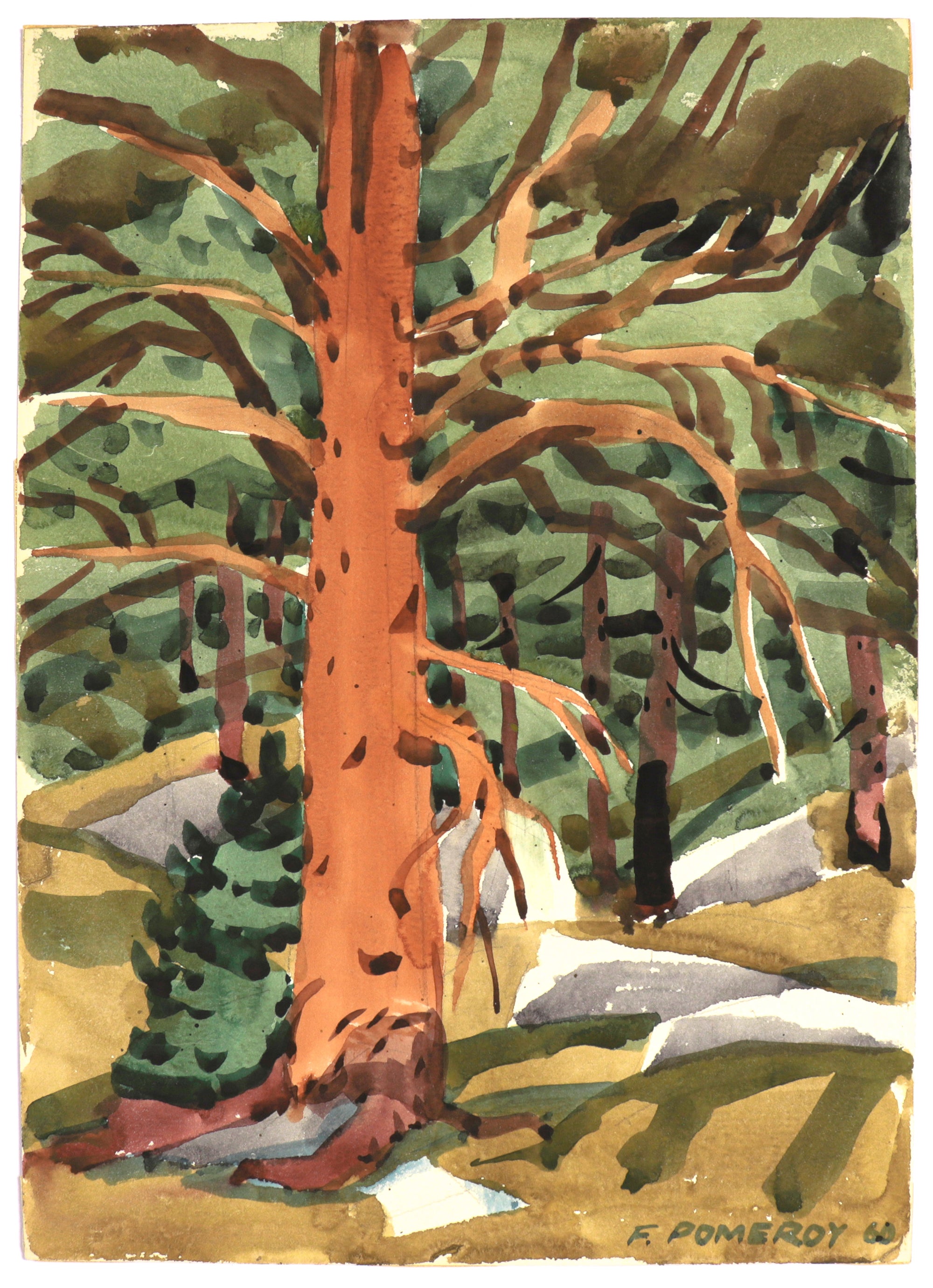 <I>The Red Pine</I> <br>1960 Watercolor<br><br>#C5177