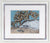 zz- Trees on the Hillside <br>2011 Oil on Paper <br><br>#C5556