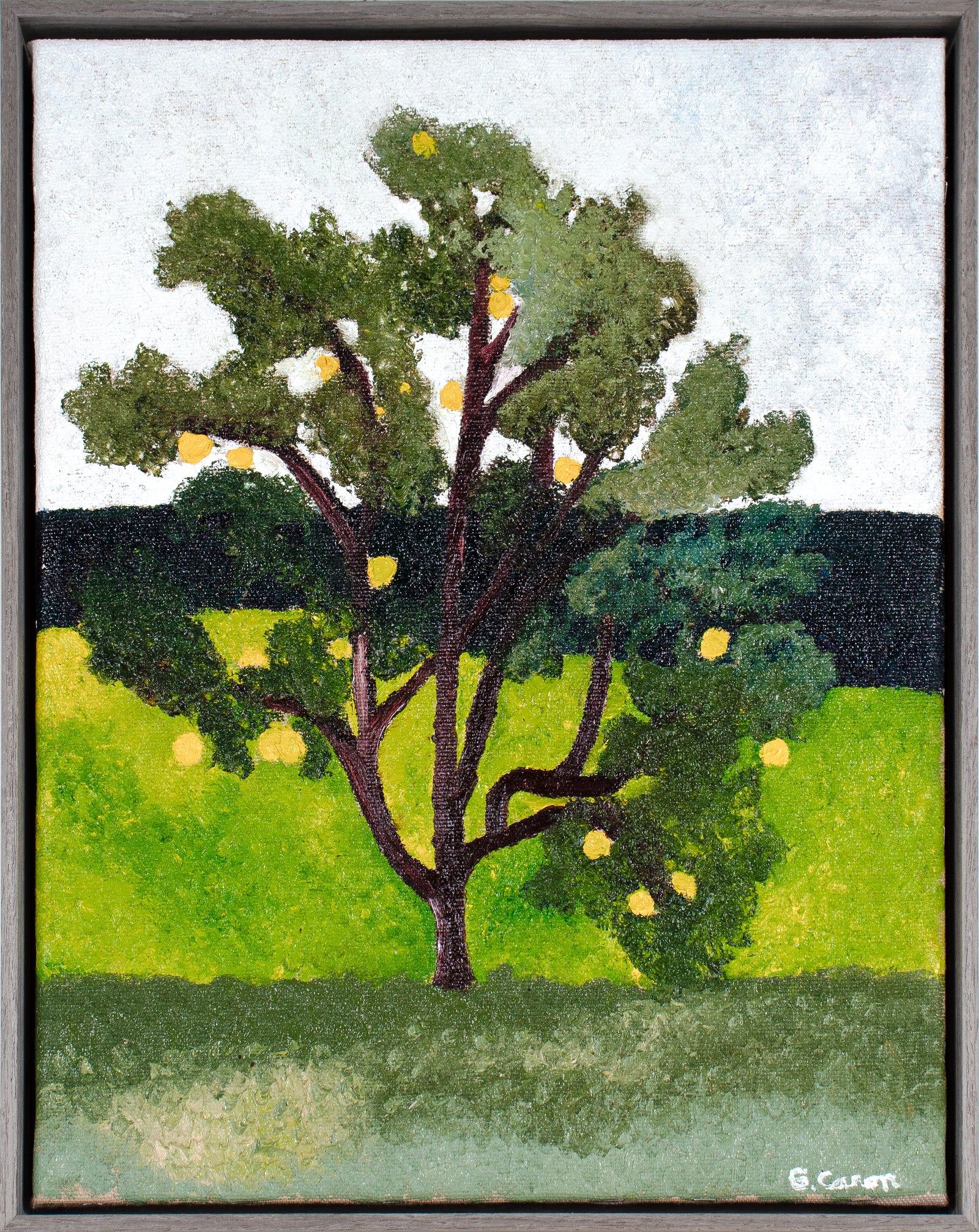 <i>The Orange Tree</i> Big Island, Hawaii <br>2024 Oil <br><br>#C5566