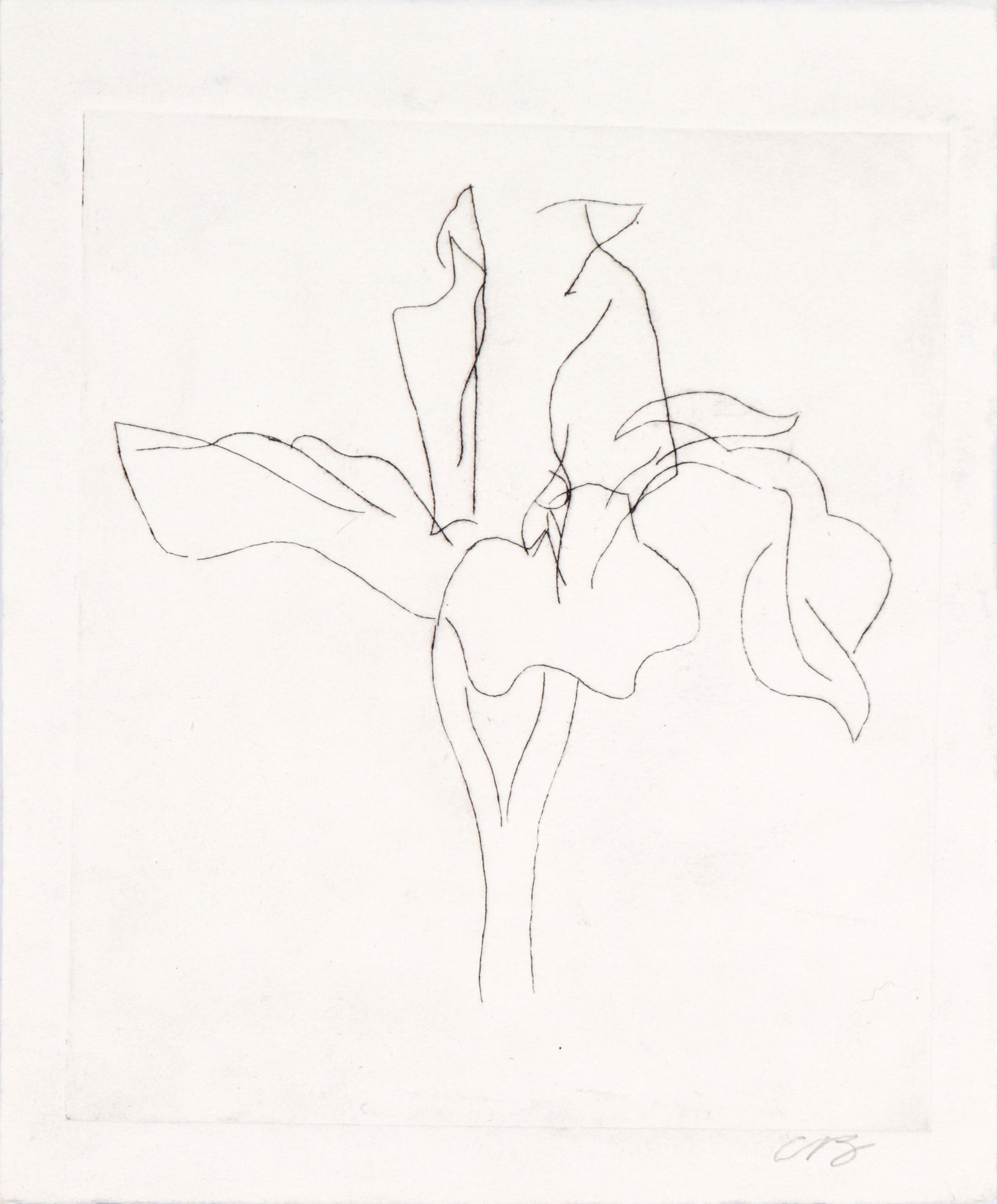 Abstracted Minimalist Flower <br>20th Century Etching <br><br>#C6075