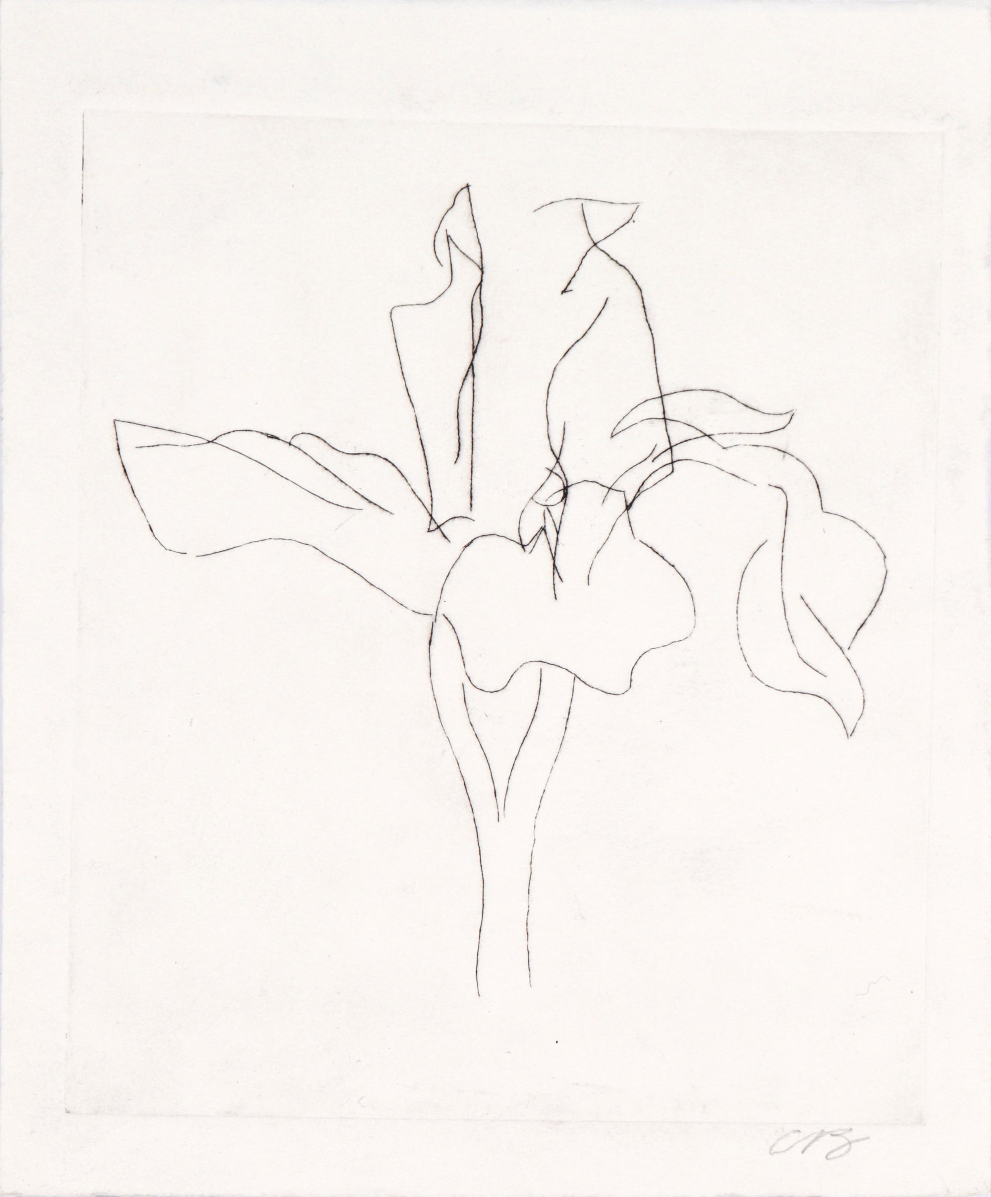 Abstracted Minimalist Flower <br>20th Century Etching <br><br>#C6075