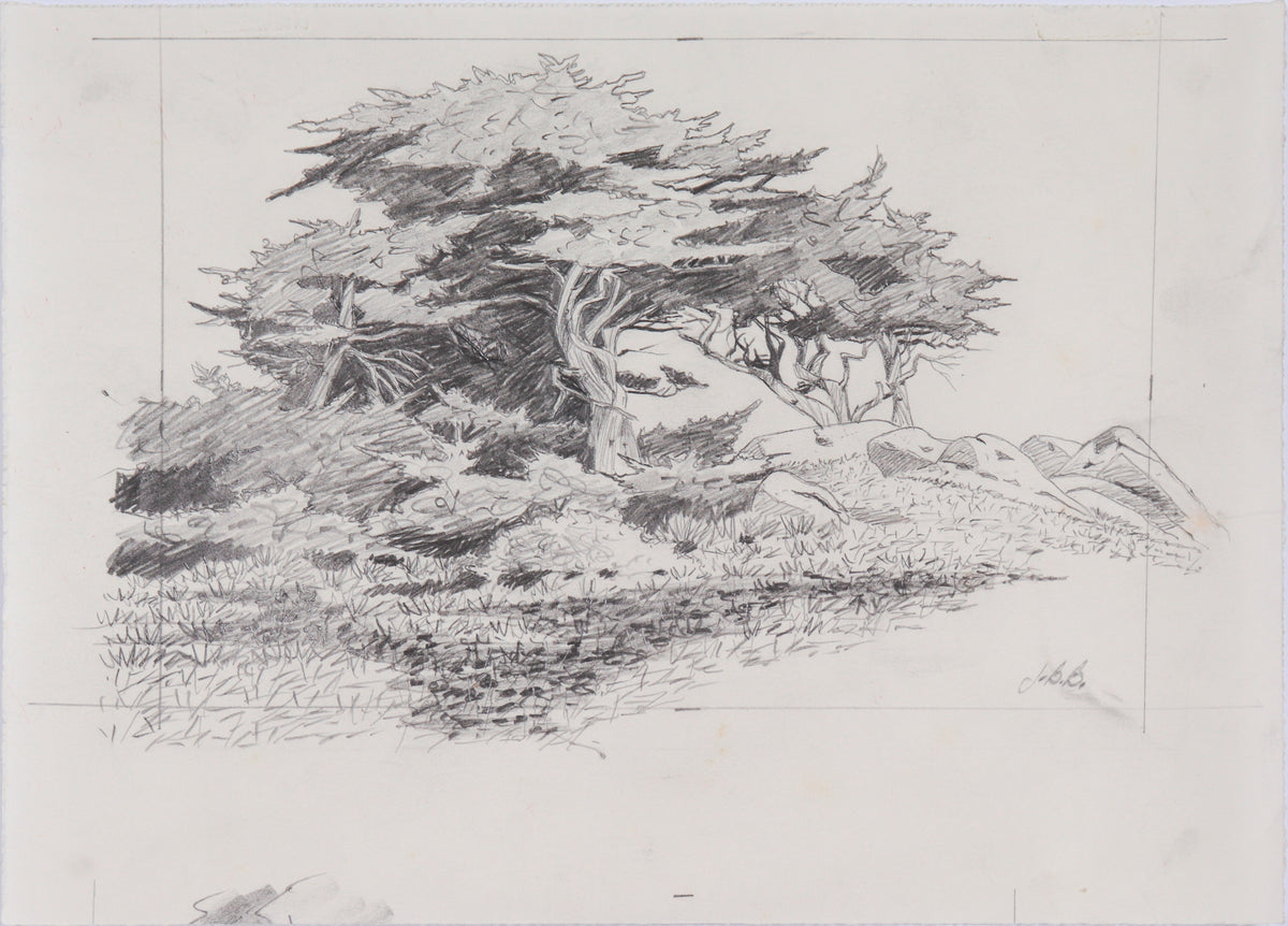 Intricate California Landscape &lt;br&gt;20th Century Graphite &lt;br&gt;&lt;br&gt;#C6114