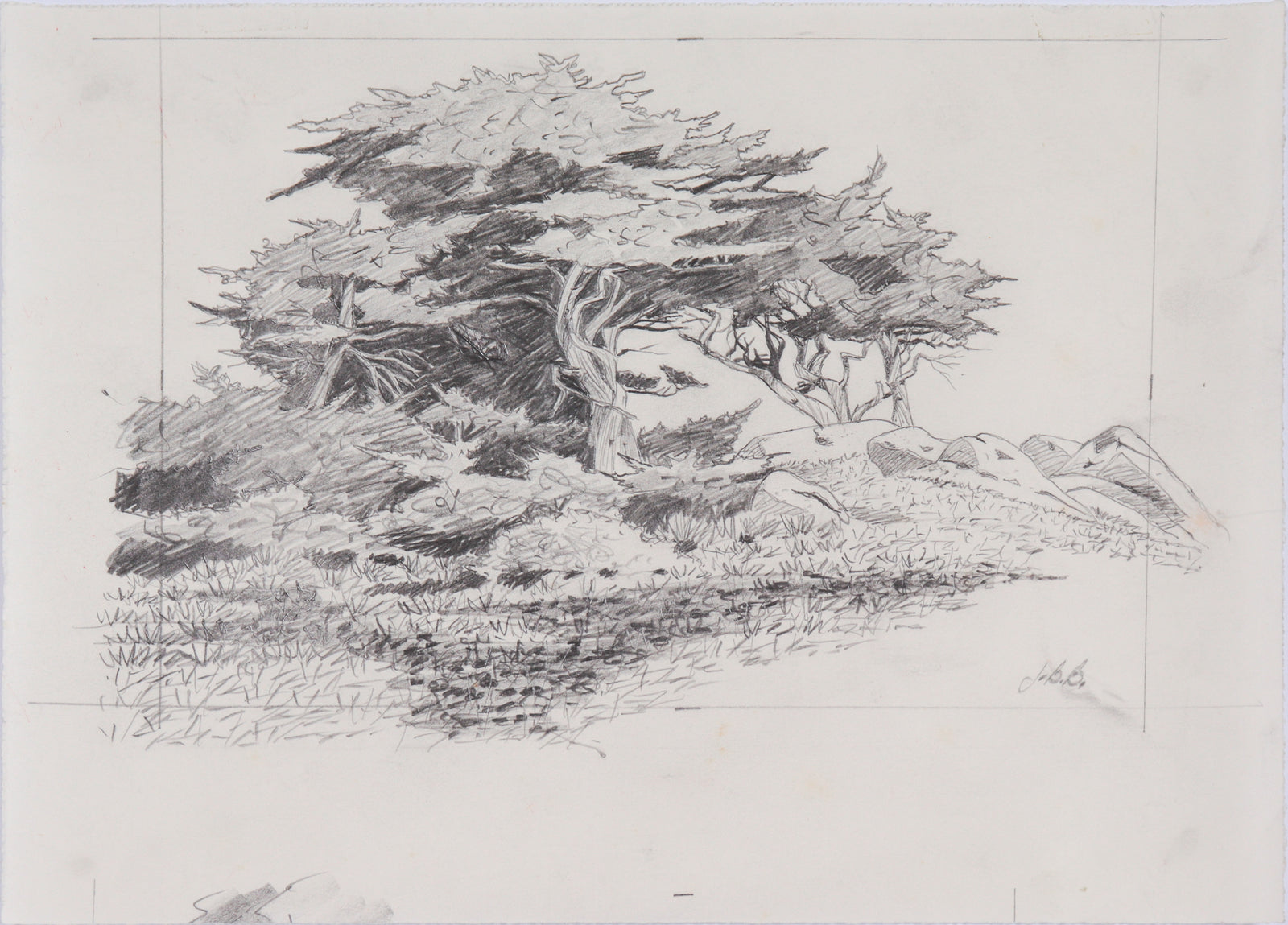 Intricate California Landscape <br>20th Century Graphite <br><br>#C6114