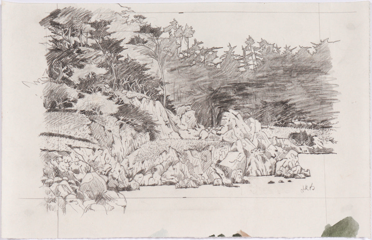 Detailed California Landscape &lt;br&gt;20th Century Graphite &lt;br&gt;&lt;br&gt;#C6116