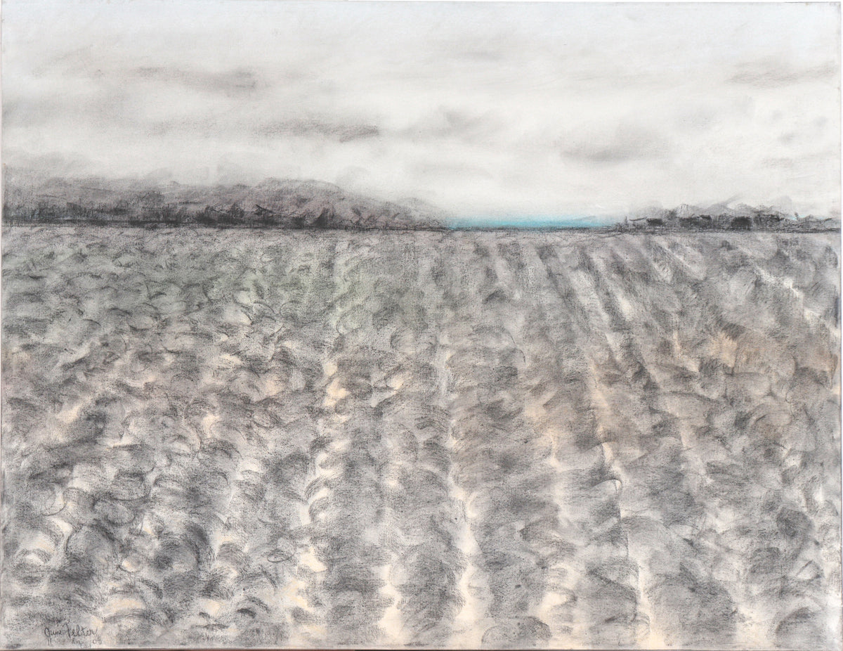 Monochromatic Bay Area Field&lt;br&gt;2008 Acrylic &amp; Charcoal&lt;br&gt;&lt;br&gt;#C6192