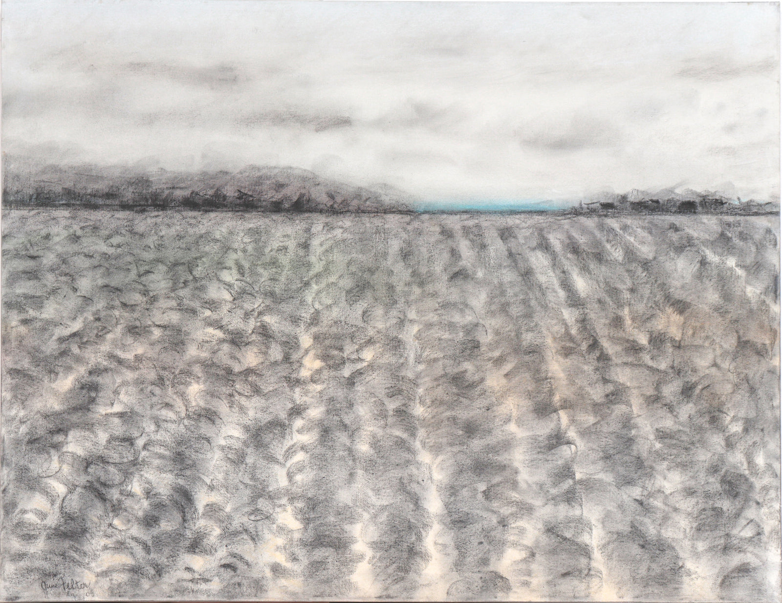 Monochromatic Bay Area Field<br>2008 Acrylic & Charcoal<br><br>#C6192